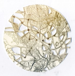 7 - pétri II, gravure 2011